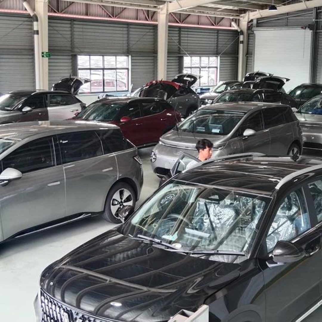 WhatsApp Image 2025-12-11 at 10.59.50