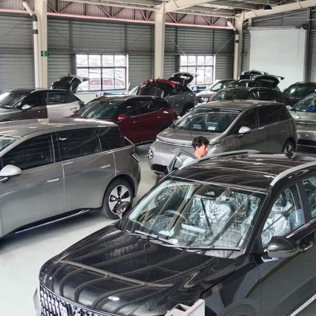 WhatsApp Image 2025-12-11 at 10.59.50